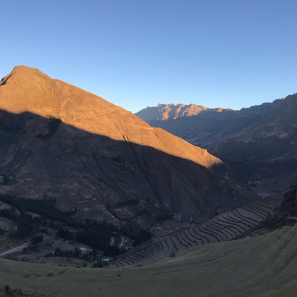 Meet your Posher, Peyton - Picture 1 of 1